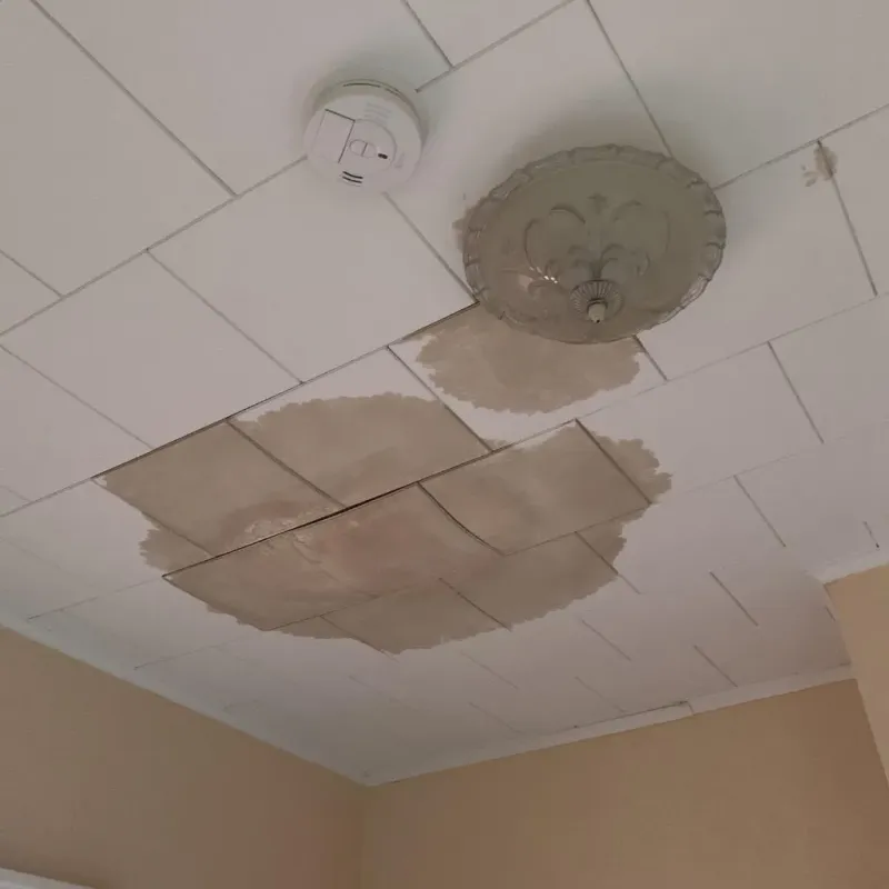 Ceiling Water Damage Repair in Comanche County, TX