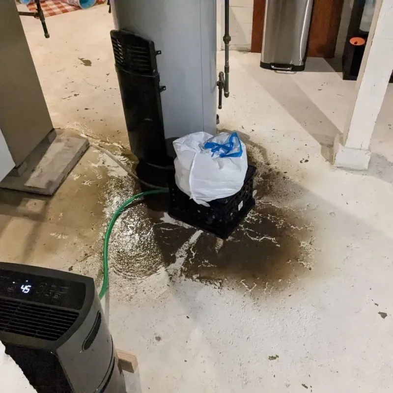 Sewage Backup Cleanup Service in Comanche County, TX
